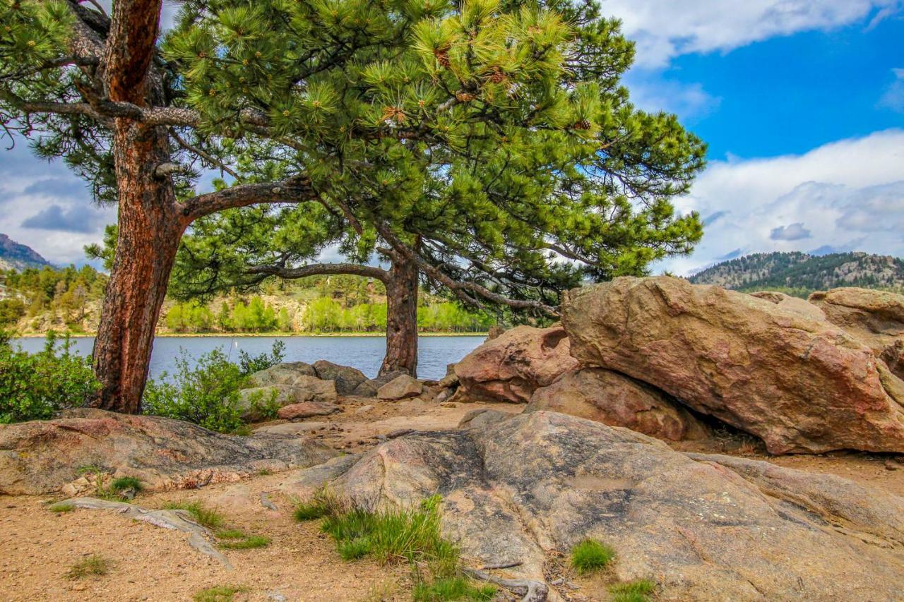 Apartament The Pine Cone - Permit #3255 Estes Park Zewnętrze zdjęcie